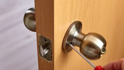 doors-1.png