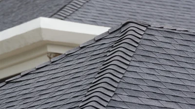 roofs-siding.png